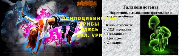 ПСИЛОЦИБИНОВЫЕ ГРИБЫ Горнозаводск